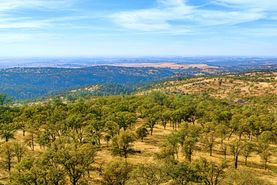 Undeveloped Land for sale in Calaveras County, California