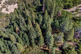 Undeveloped Land for sale in Jackson County, Oregon