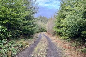 Residential Property for sale in Grays Harbor County, Washington