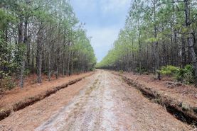 Timberland Property for sale in Wayne County, Georgia