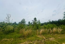 Undeveloped Land for sale in Laurens County, Georgia