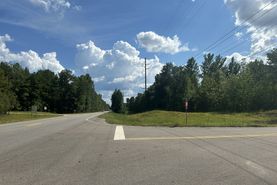 Undeveloped Land for sale in Bibb County, Alabama