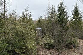 Recreational Property for sale in Shawano County, Wisconsin