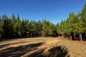Recreational Property for sale in Quitman County, Georgia