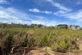Property for sale in Cherokee County, South Carolina