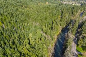 Riverfront Property for sale in Lane County, Oregon
