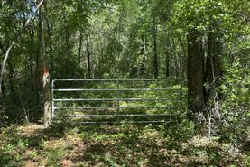 Residential Property for sale in Colleton County, South Carolina
