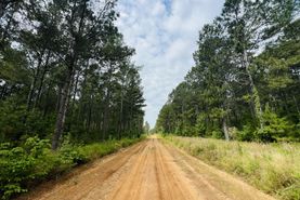 Recreational Property for sale in Dooly County, Georgia