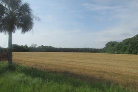 Property for sale in Orangeburg County, South Carolina