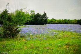 Undeveloped Land for sale in Grimes County, Texas