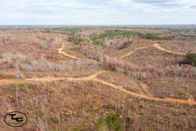 Hunting Land for sale in Walker County, Alabama