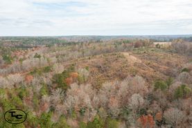 Hunting Land for sale in Walker County, Alabama