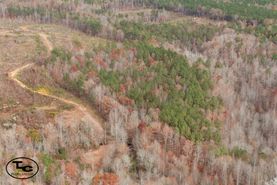 Hunting Land for sale in Walker County, Alabama