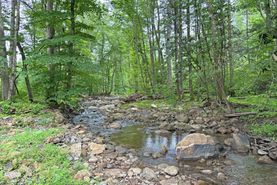 Undeveloped Land for sale in Summers County, West Virginia