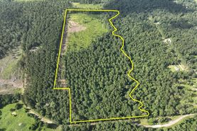 Undeveloped Land for sale in Polk County, Texas