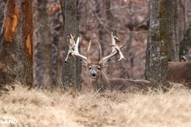 Ranch Property for sale in Osage County, Missouri
