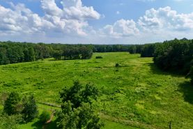 Property for sale in Henry County, Tennessee