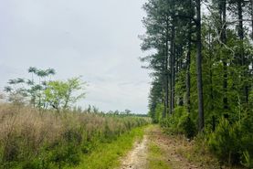 Undeveloped Land for sale in Laurens County, Georgia