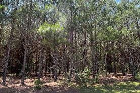 Recreational Property for sale in Geneva County, Alabama