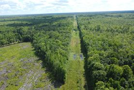 Farm Property for sale in Colleton County, South Carolina