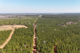 Timberland Property for sale in Hancock County, Georgia