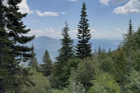 Undeveloped Land for sale in Boundary County, Idaho