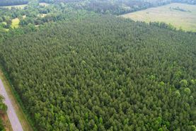 Timberland Property for sale in Bradley County, Arkansas