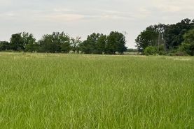 Undeveloped Land for sale in Henderson County, Texas