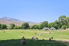 Ranch Property for sale in Lincoln County, Nevada