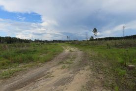 Recreational Property for sale in Geneva County, Alabama