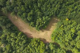 Property for sale in Noxubee County, Mississippi