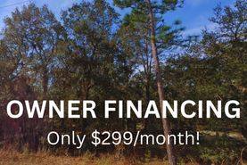 Undeveloped Land for sale in Putnam County, Florida