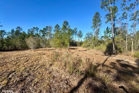 Recreational Property for sale in Washington County, Alabama