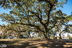 Riverfront Property for sale in Georgetown County, South Carolina