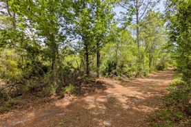 Undeveloped Land for sale in Putnam County, Florida
