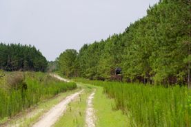 Recreational Property for sale in Barnwell County, South Carolina