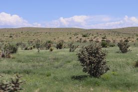 Ranch Property for sale in Otero County, New Mexico