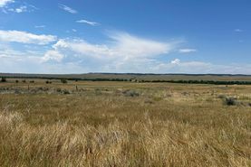 Undeveloped Land for sale in Niobrara County, Wyoming