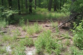 Property for sale in Florence County, South Carolina