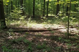 Hunting Land for sale in Baxter County, Arkansas