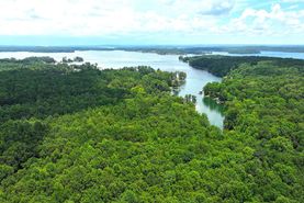 Lakefront Property for sale in Elmore County, Alabama