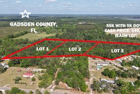Undeveloped Land for sale in Gadsden County, Florida