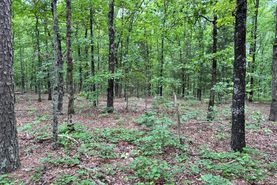 Property for sale in Cleburne County, Arkansas