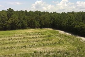 Property for sale in Harnett County, North Carolina
