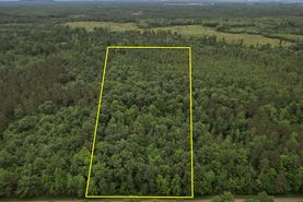 Undeveloped Land for sale in Clark County, Wisconsin