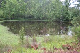 Recreational Property for sale in Newton County, Mississippi