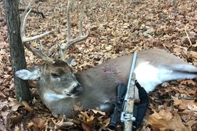 Recreational Property for sale in Massac County, Illinois