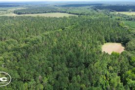Recreational Property for sale in Wilcox County, Alabama