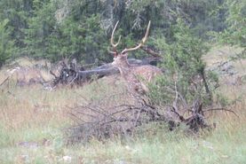 Ranch Property for sale in Kimble County, Texas