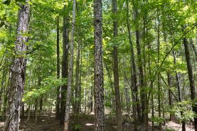 Recreational Property for sale in Montgomery County, Alabama